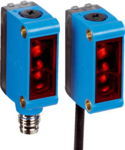 GSE6-P4212